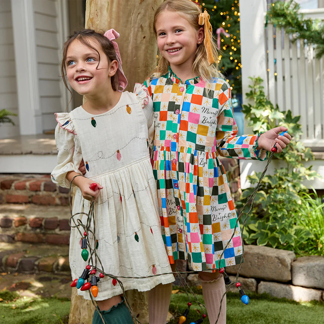 Pink Chicken Christmas Lights | Embroidery Brooke Dress