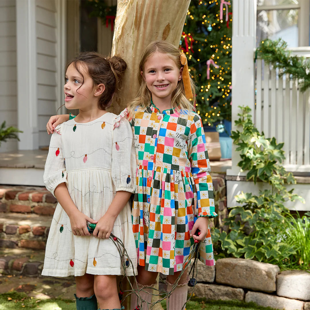 Pink Chicken Christmas Lights | Embroidery Brooke Dress