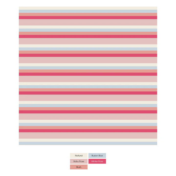 Kickee Baby Rose Stripe | Print Underwear