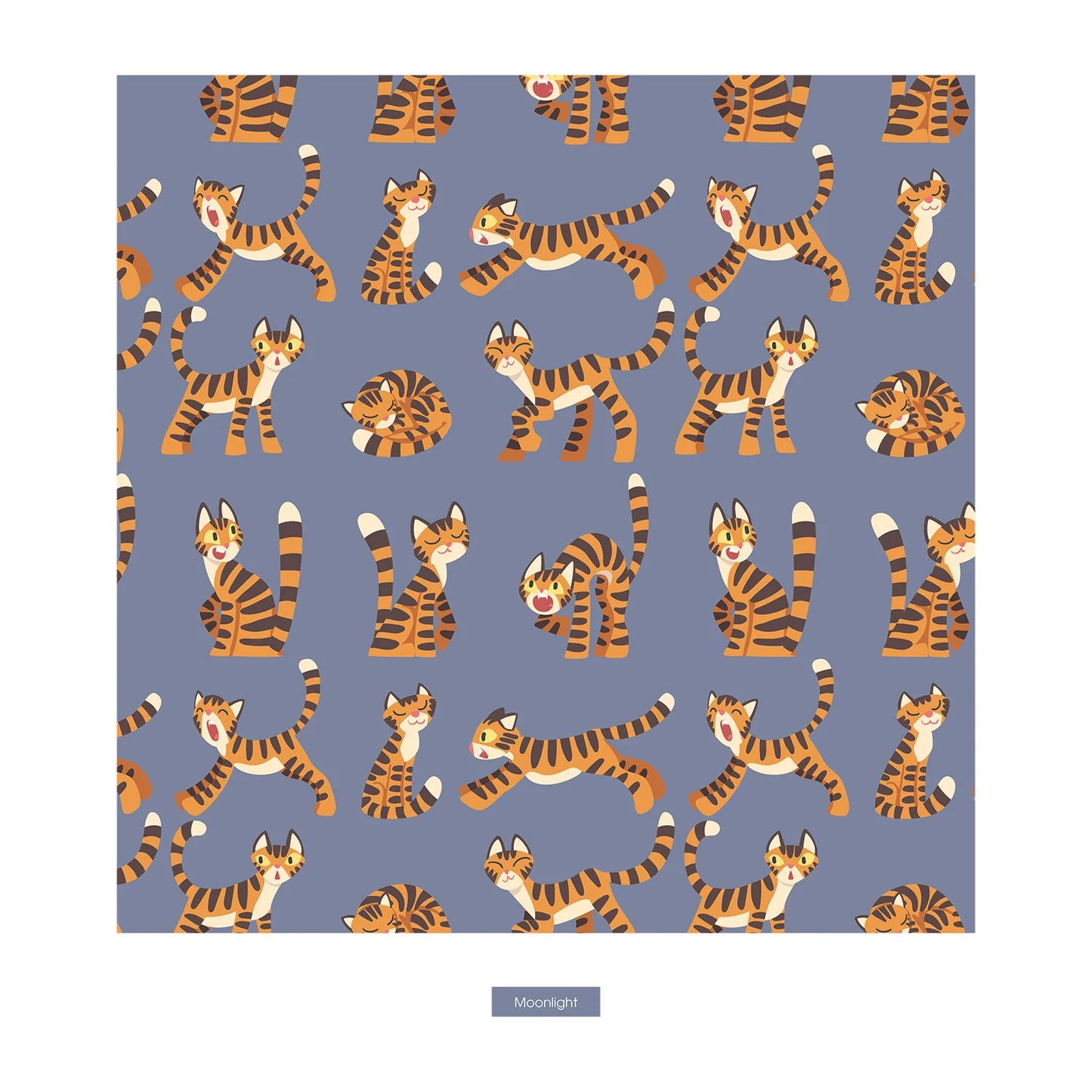 KicKee Moonlight Tiger | Print Boxer Brief