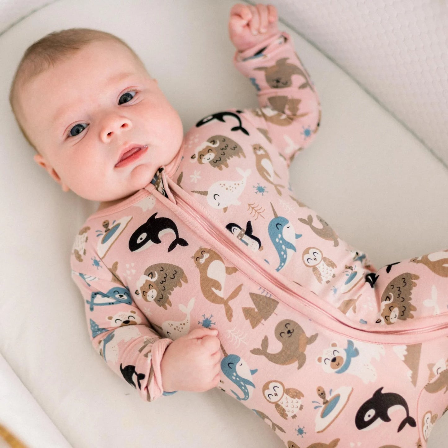 KicKee Baby Rose Arctic Animals | Print Layette Ruffle Footie With 2 Way Zipper