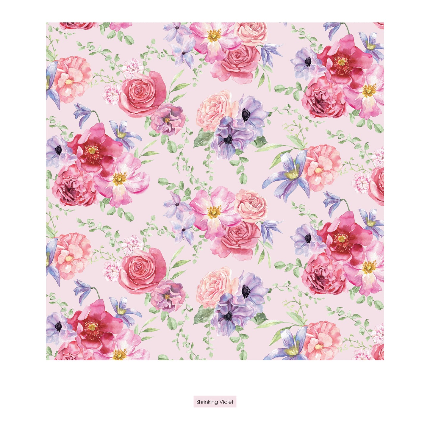 KicKee Shrinking Violet Dreamy Floral | Print Underwear