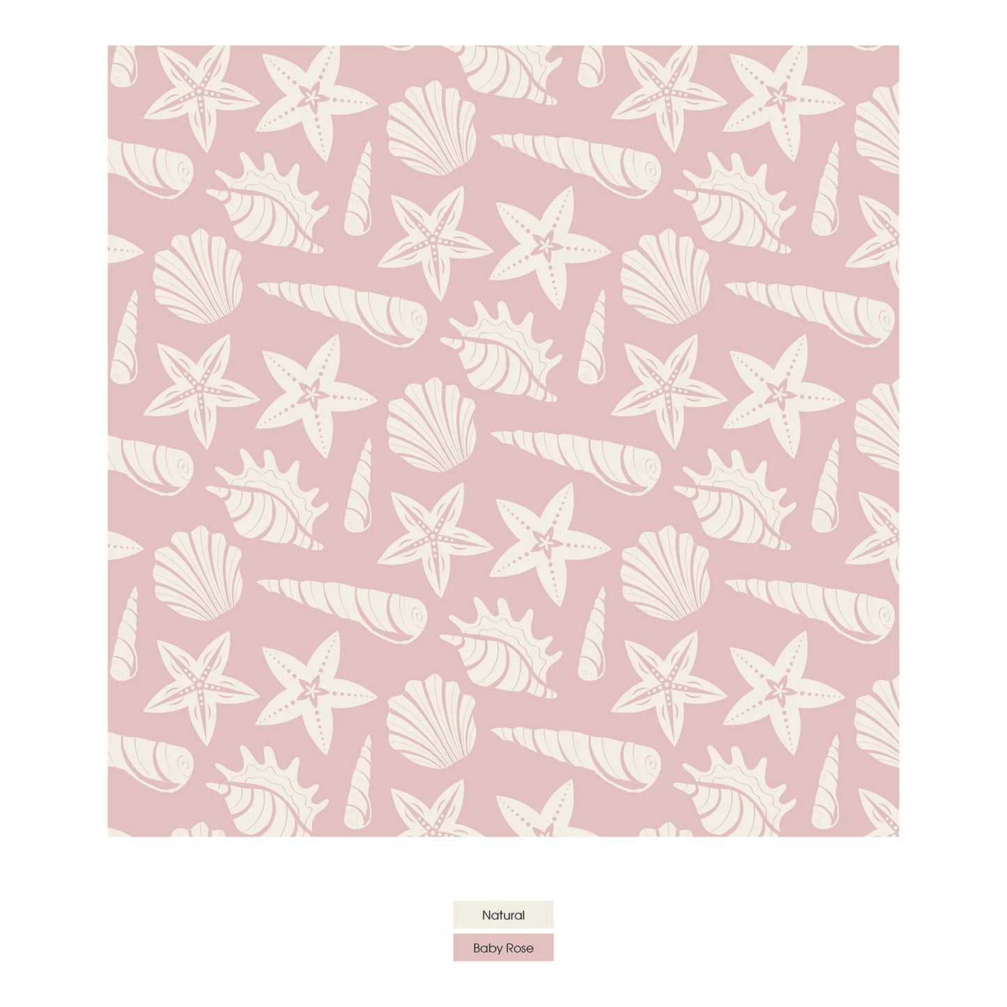 Kickee Baby Rose Shells & Starfish | Print Underwear