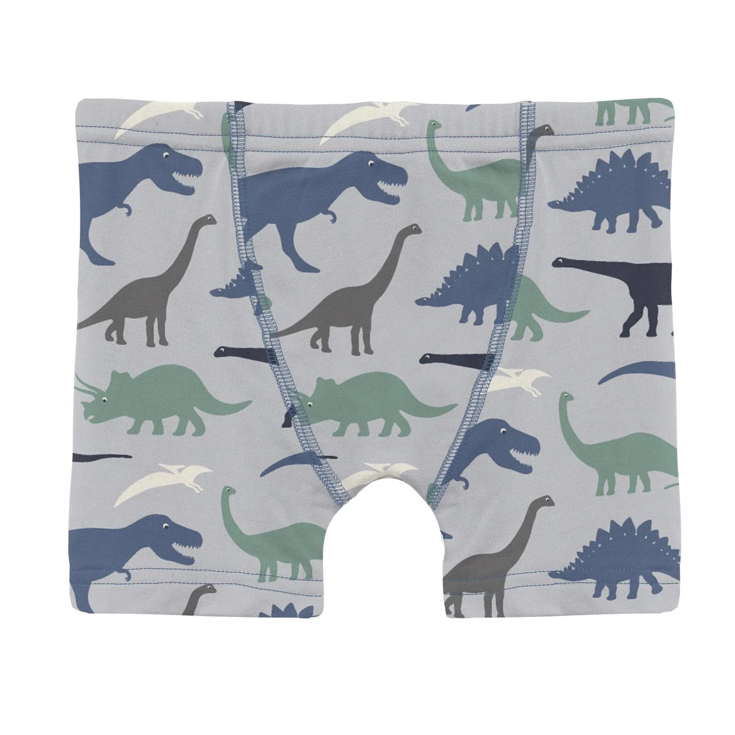 KicKee Dove Dino Museum | Print Boxer Brief