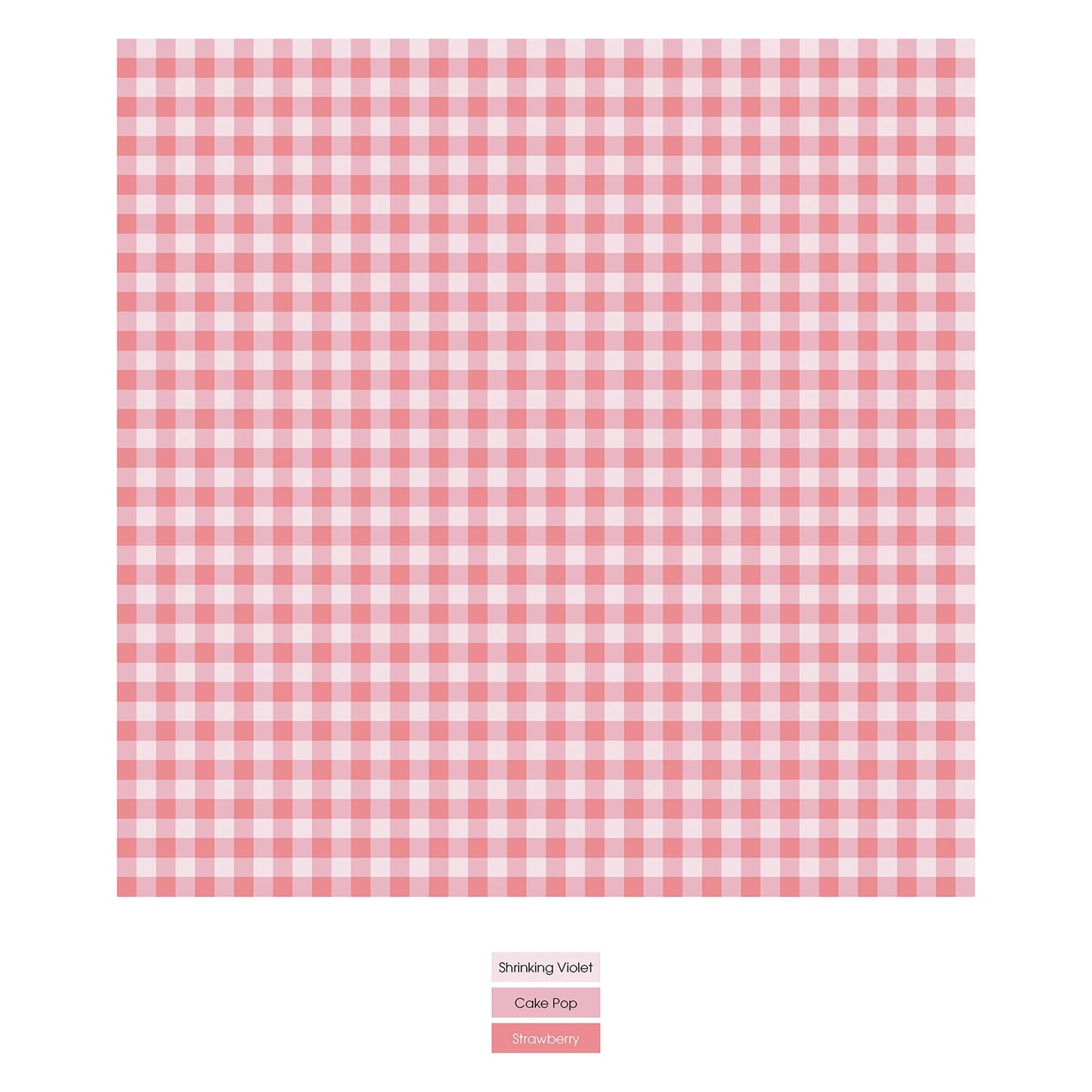 Kickee Cake Pop Gingham | Print Classic Ruffle Footie With Two Zipper