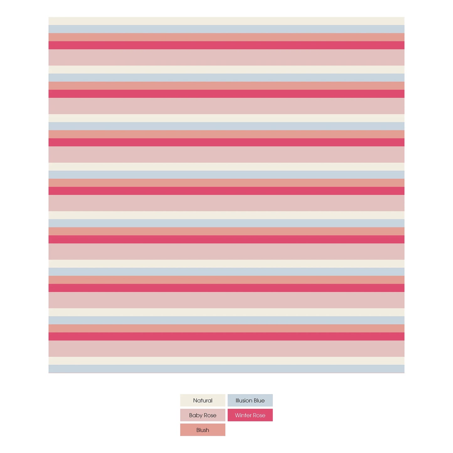Kickee Baby Rose Stripe | Print Underwear