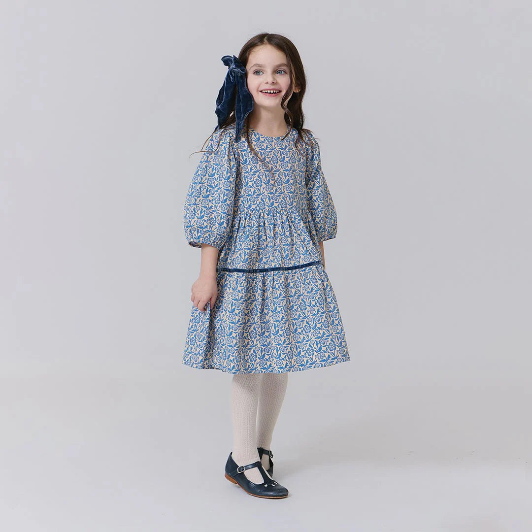 Pink Chicken Blue Climbing Floral | Maribelle Dress