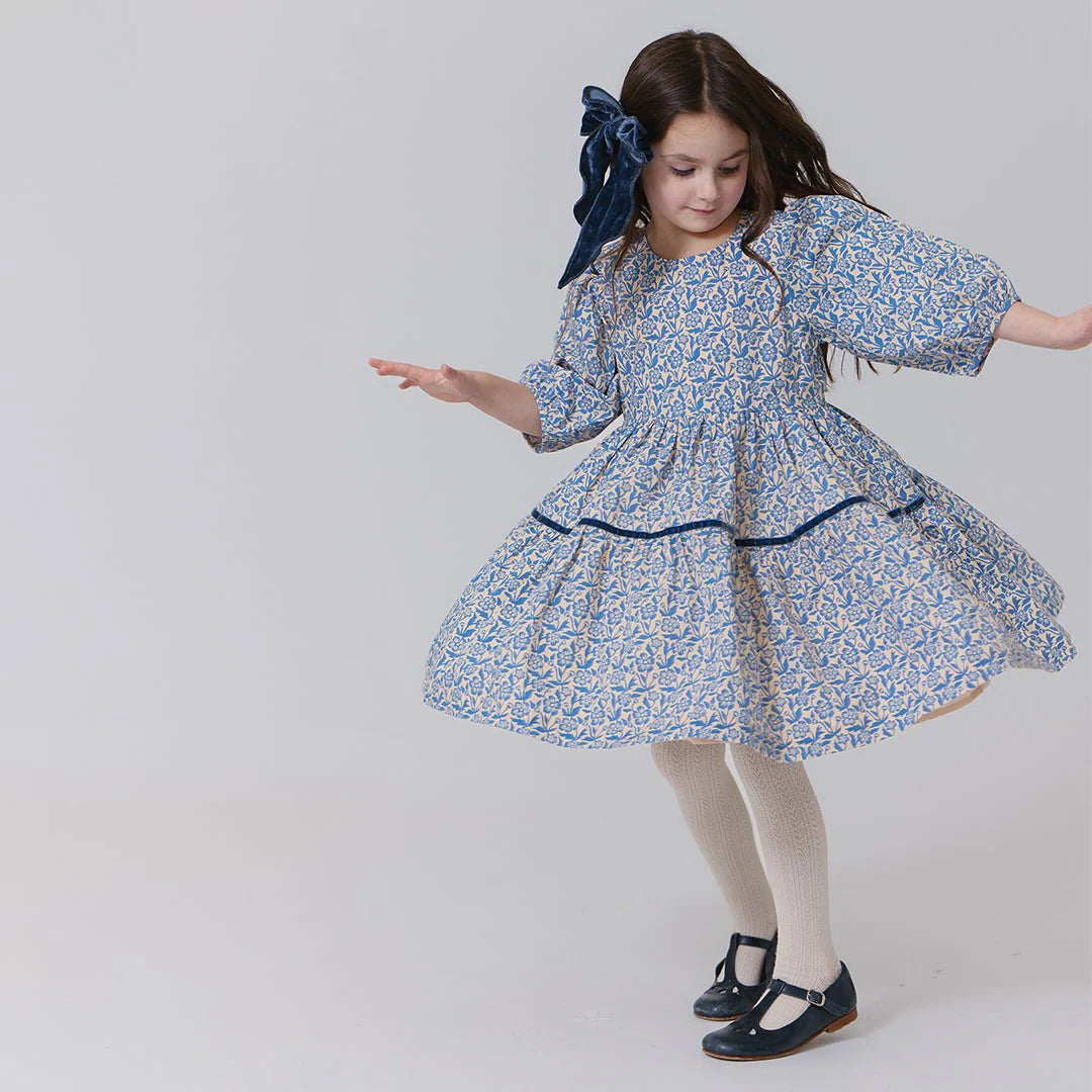 Pink Chicken Blue Climbing Floral | Maribelle Dress