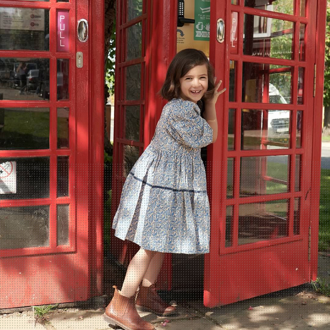 Pink Chicken Blue Climbing Floral | Maribelle Dress