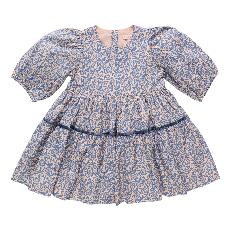 Pink Chicken Blue Climbing Floral | Maribelle Dress
