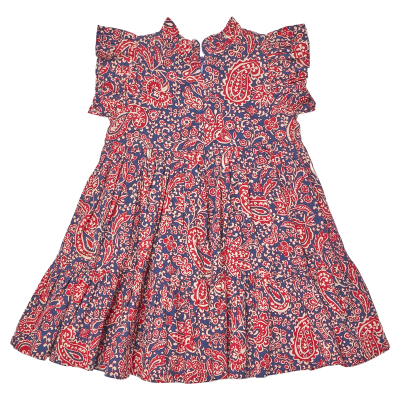 Pink Chicken Paisley Vines | Jennifer Dress