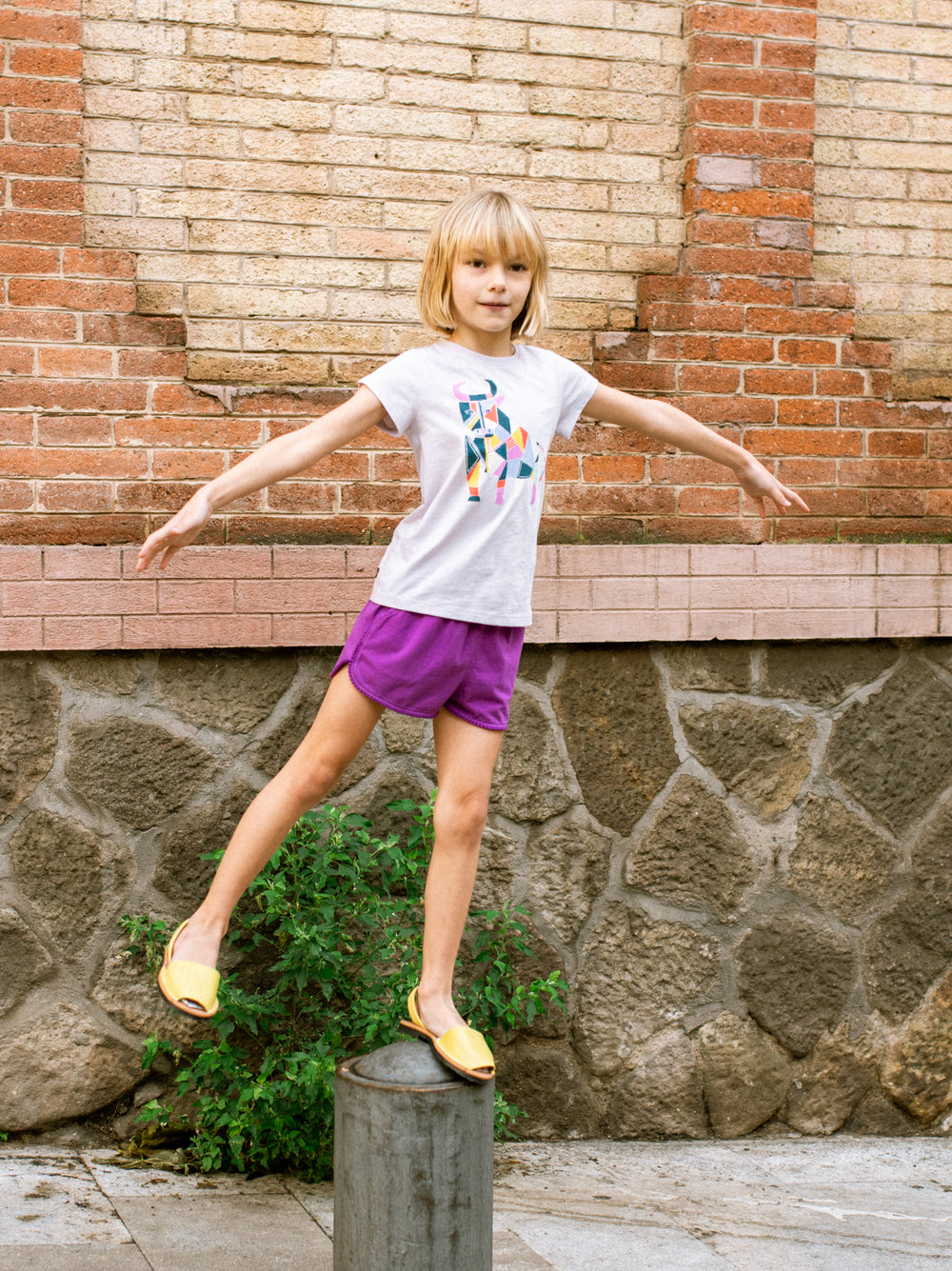 Tea Verbena | Picasso's Toro Graphic Tee