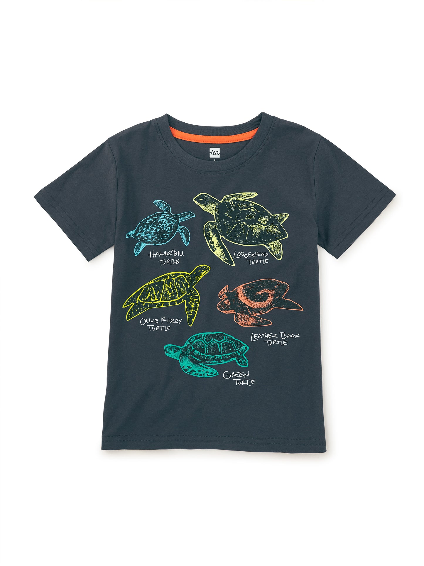 Tea Indigo | Turtle Discovery Graphic Tee