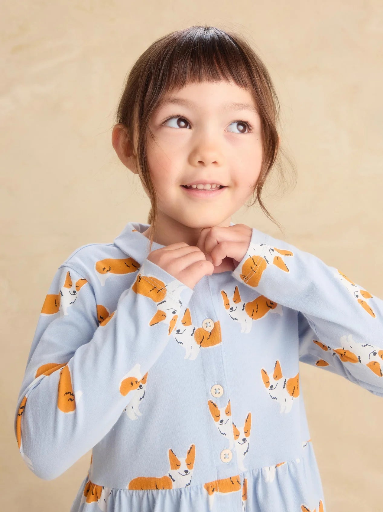 Tea Cutie Corgis | Collared Long Sleeve Shirtdress