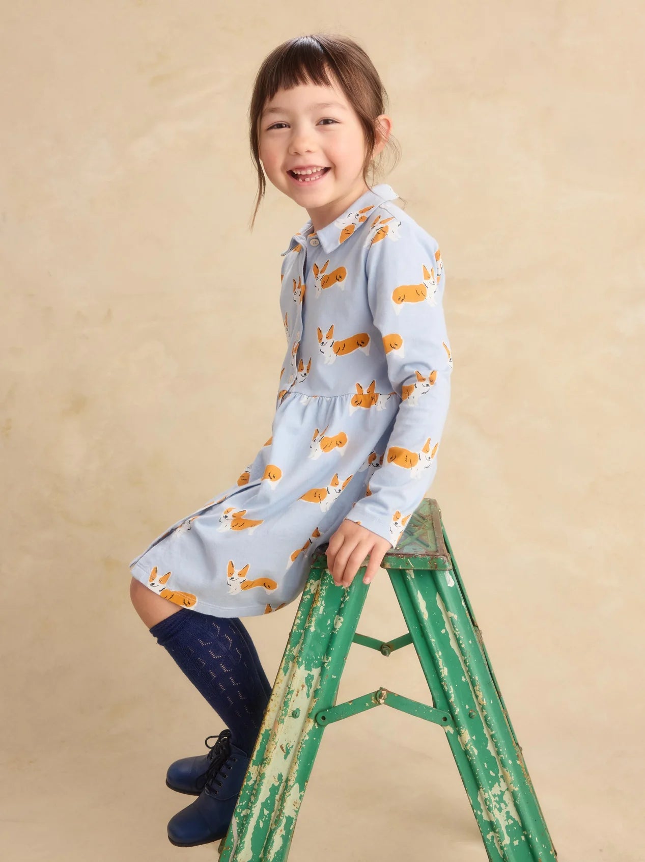 Tea Cutie Corgis | Collared Long Sleeve Shirtdress