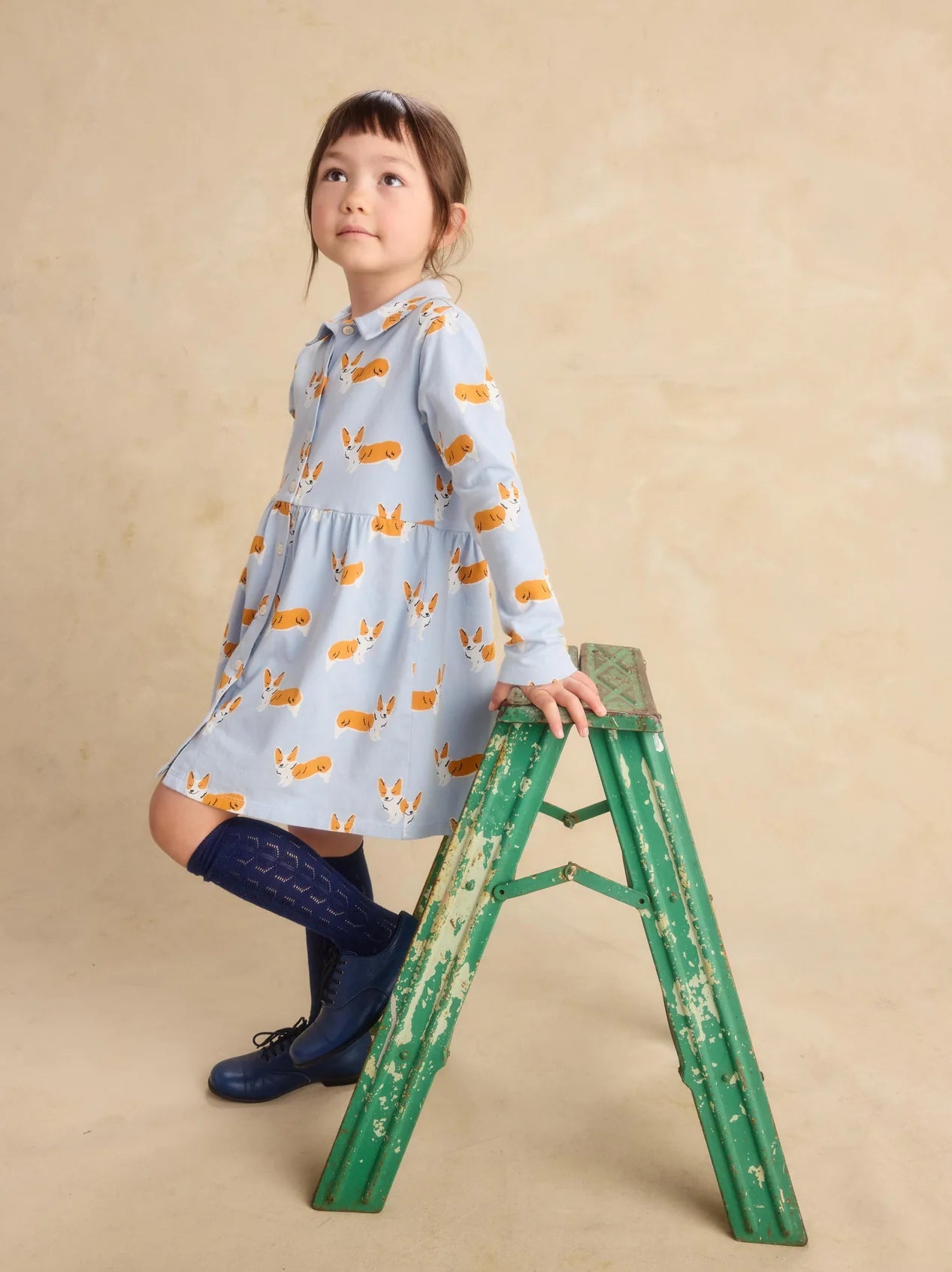 Tea Cutie Corgis | Collared Long Sleeve Shirtdress