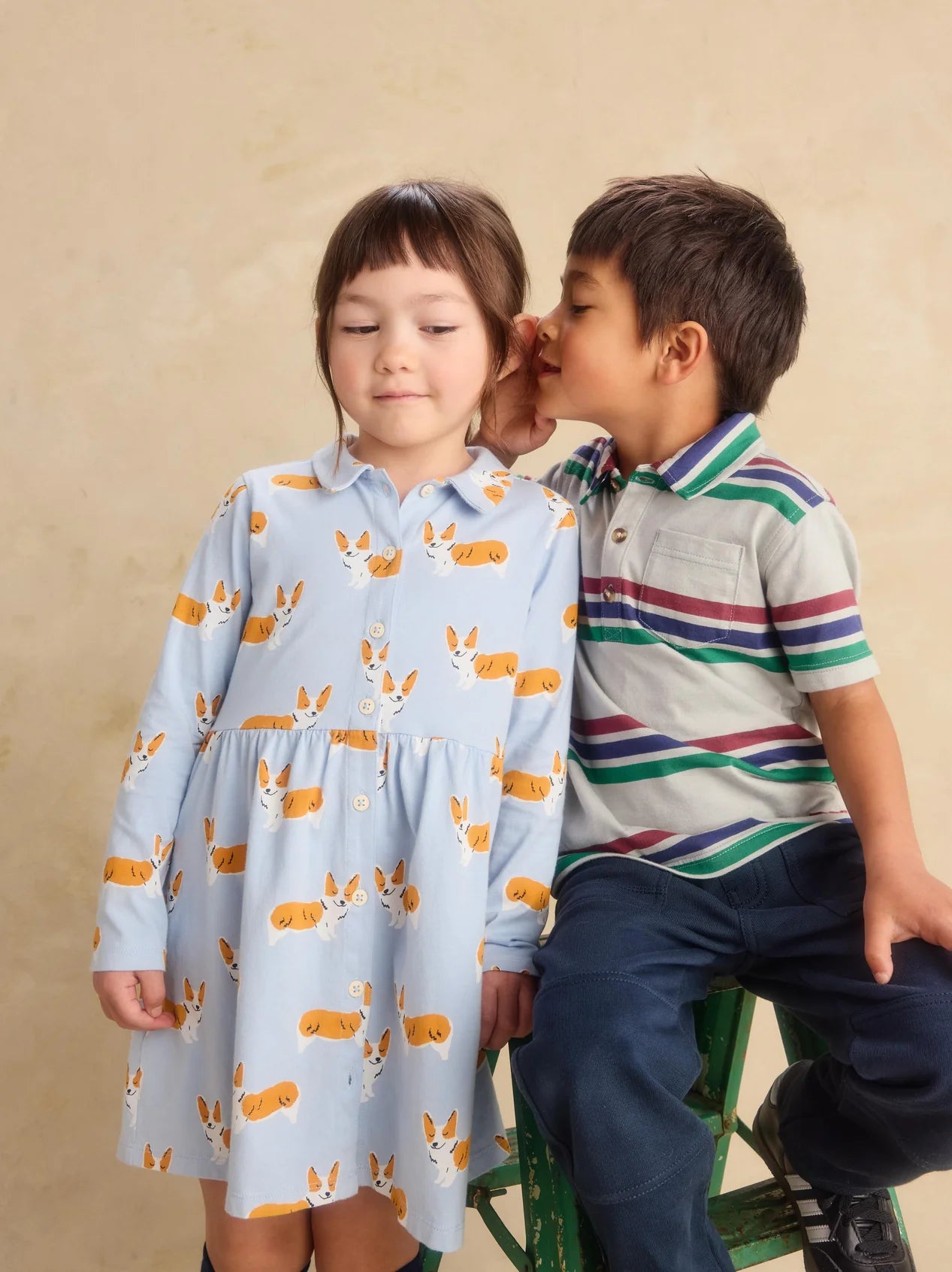 Tea Cutie Corgis | Collared Long Sleeve Shirtdress