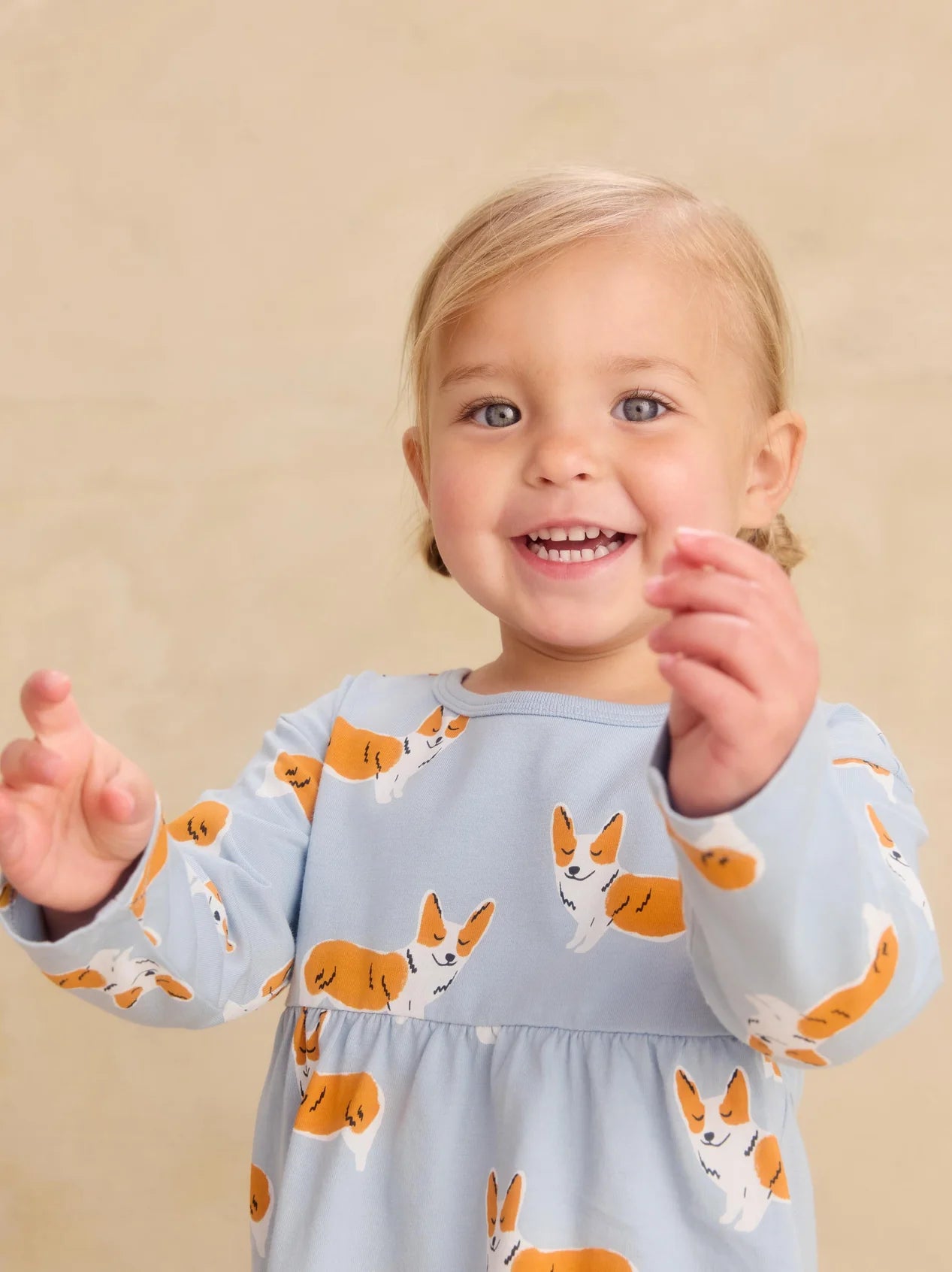 Tea Cutie Corgis | Peplum Two Piece Set