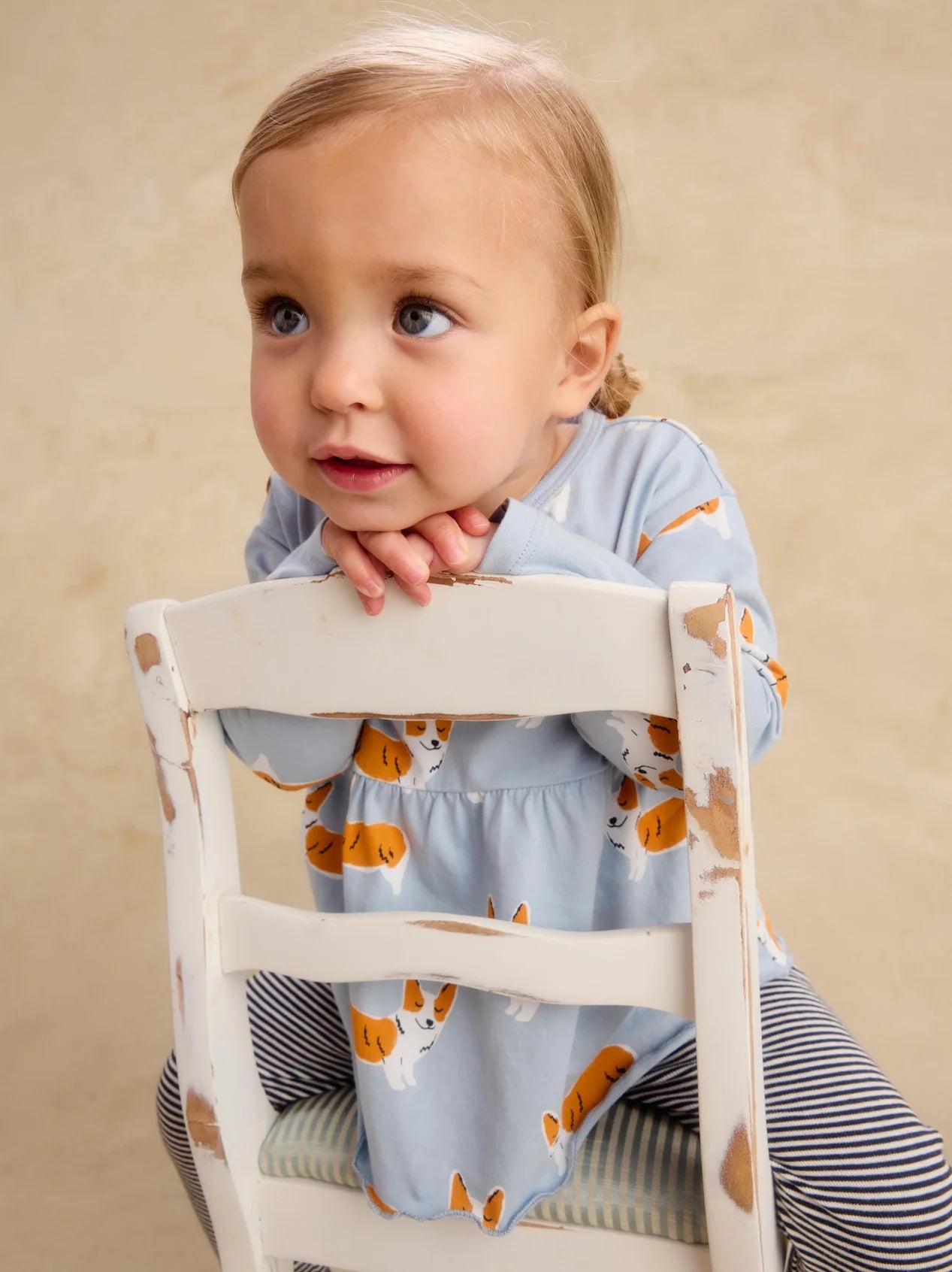 Tea Cutie Corgis | Peplum Two Piece Set
