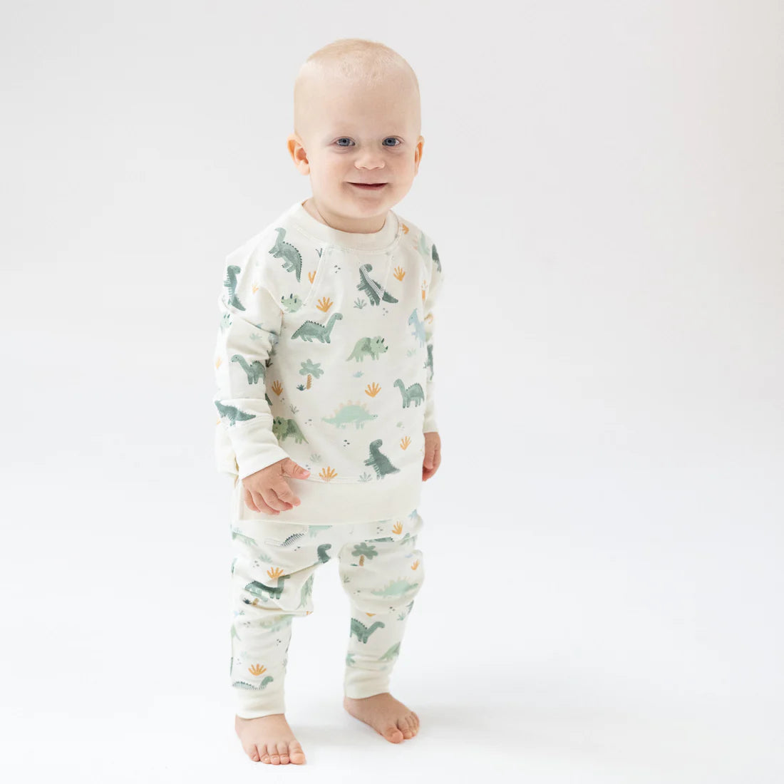 Angel Dear Soft Dinos | French Terry Raglan Sweatshirt + Jogger Set