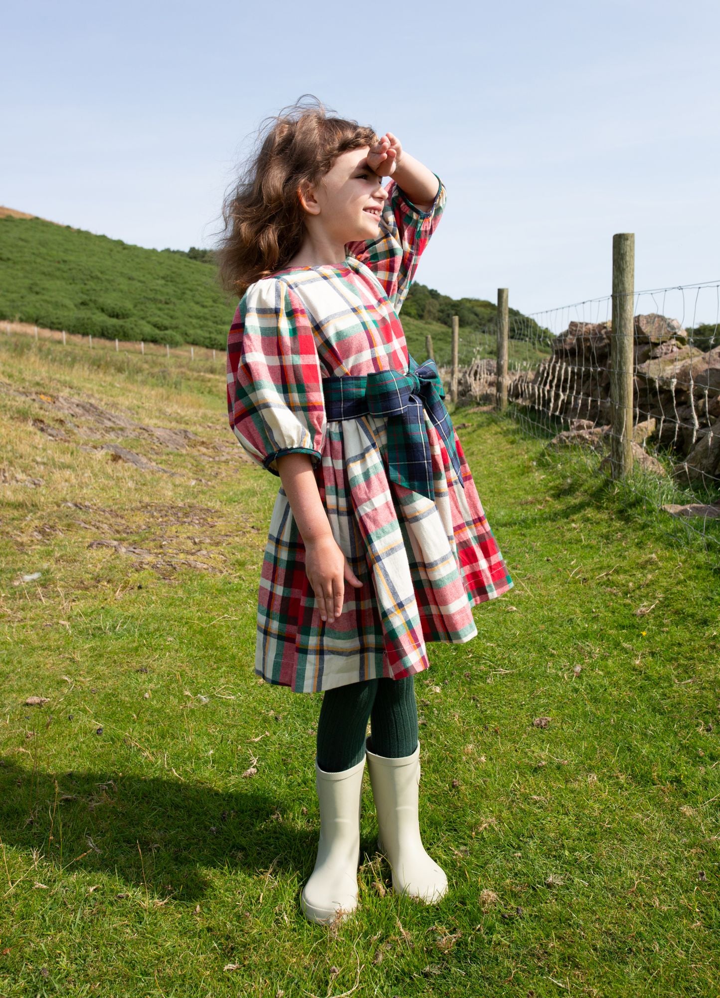 Pink Chicken Holiday Tartan | Ruby Dress