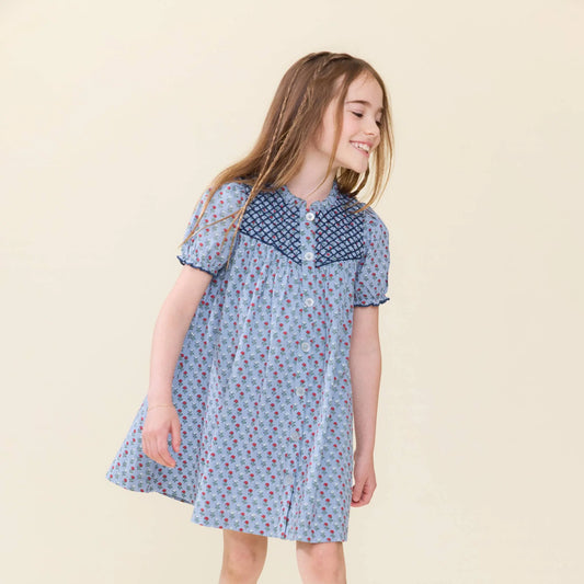Pink Chicken Light Blue Carnation | Lucia Dress