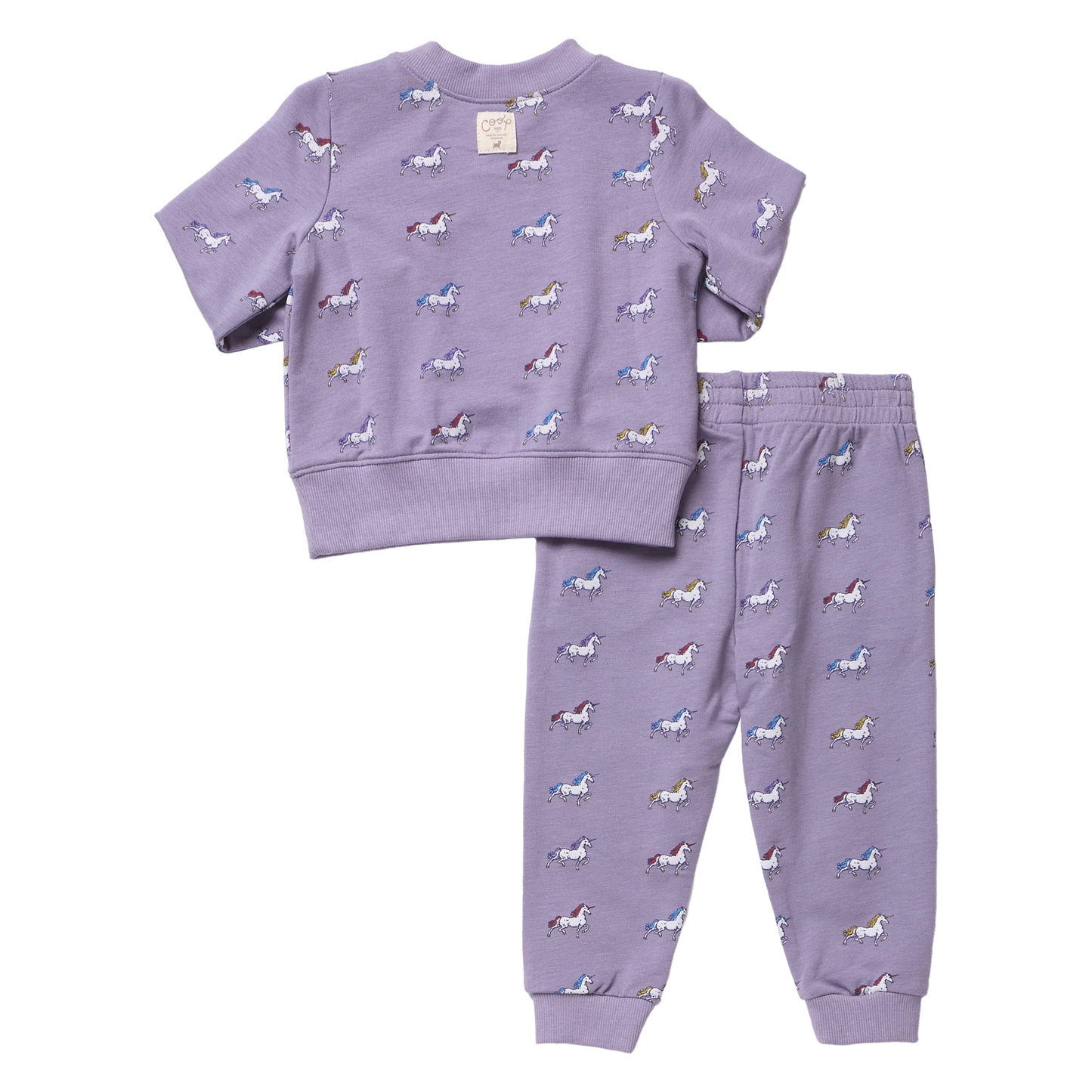 Pink Chicken X Coop Kids Rainbow Unicorns | Jax Jogger Set
