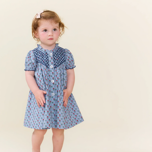 Pink Chicken Light Blue Carnation | Lucia Dress Set