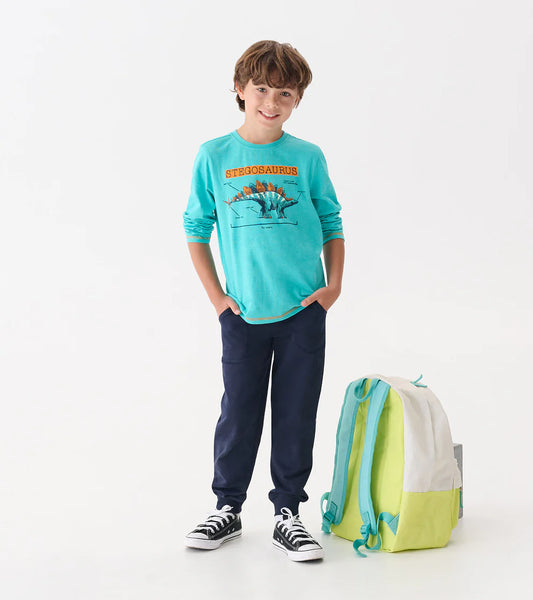 Hatley Stegosaurus | Graphic Tee