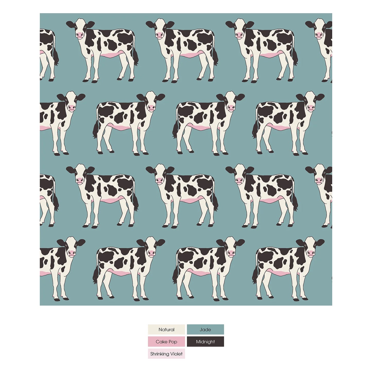 Kickee Jade Cows | Print Boxer Brief