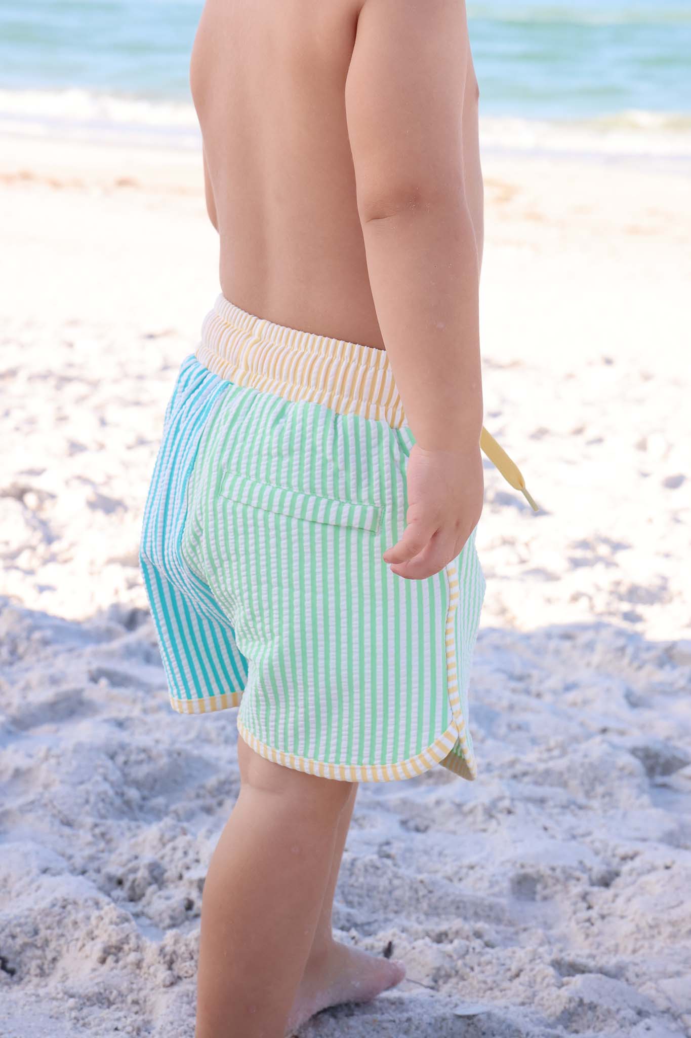 Caden Lane Multi-Colored | Seersucker Swim Trunks
