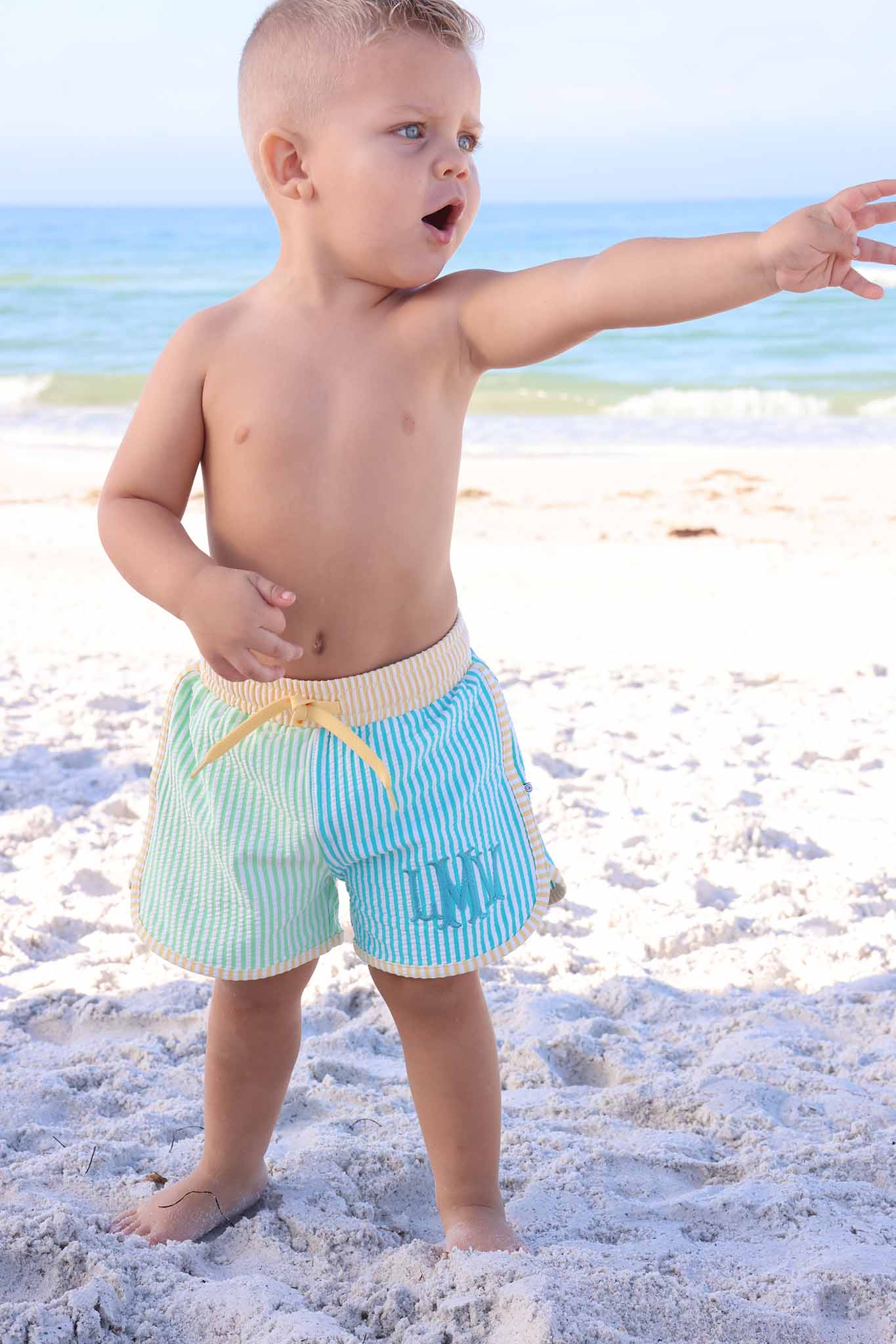 Caden Lane Multi-Colored | Seersucker Swim Trunks