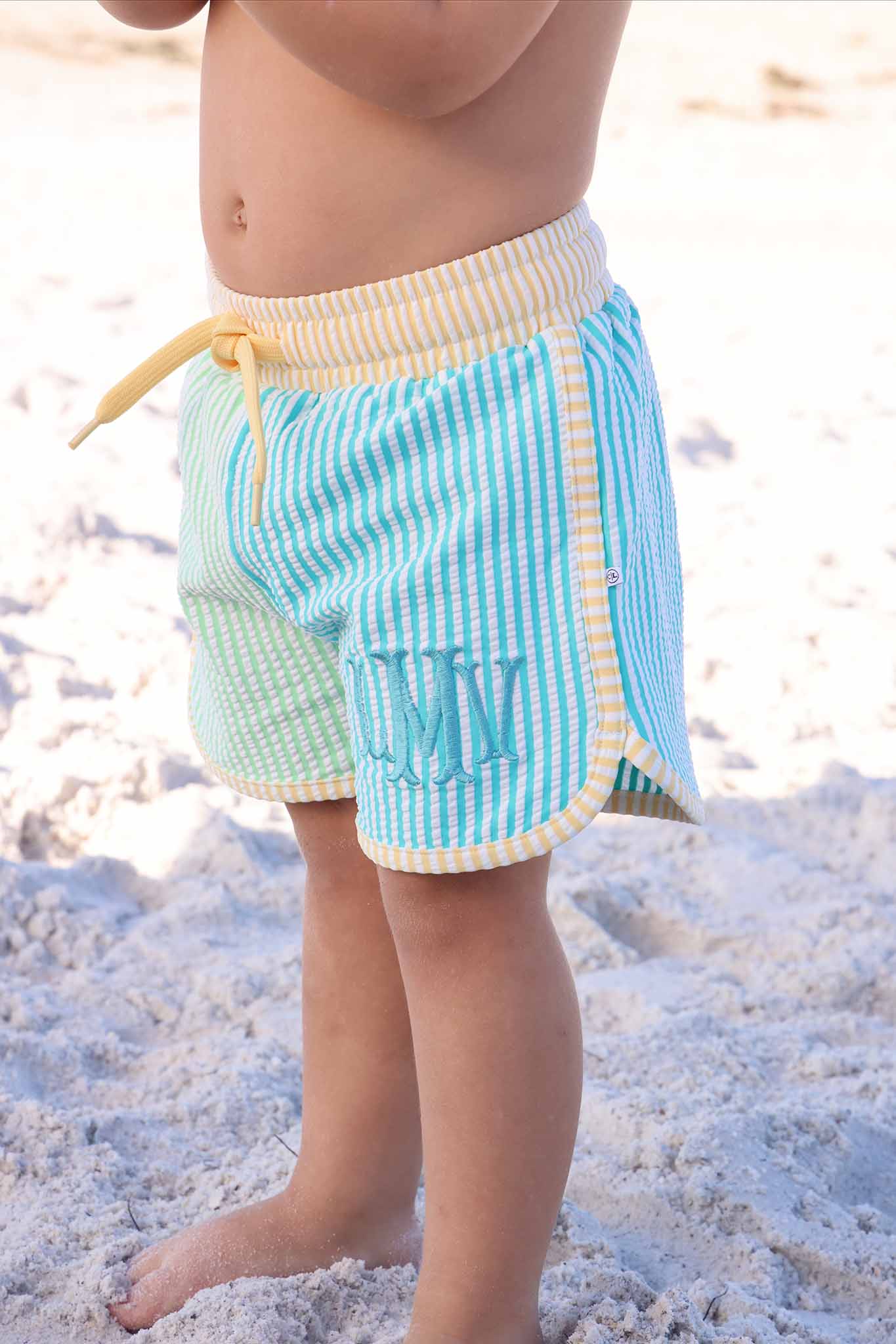 Caden Lane Multi-Colored | Seersucker Swim Trunks