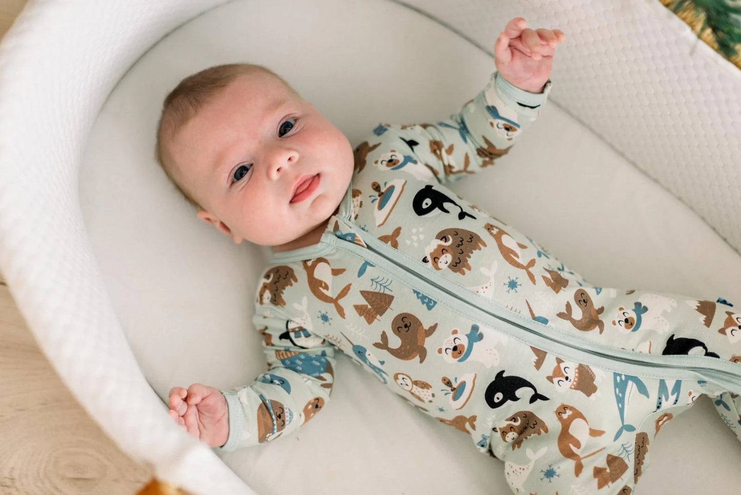 KicKee Aloe Arctic Animals | Print Footie With 2 Way Zipper