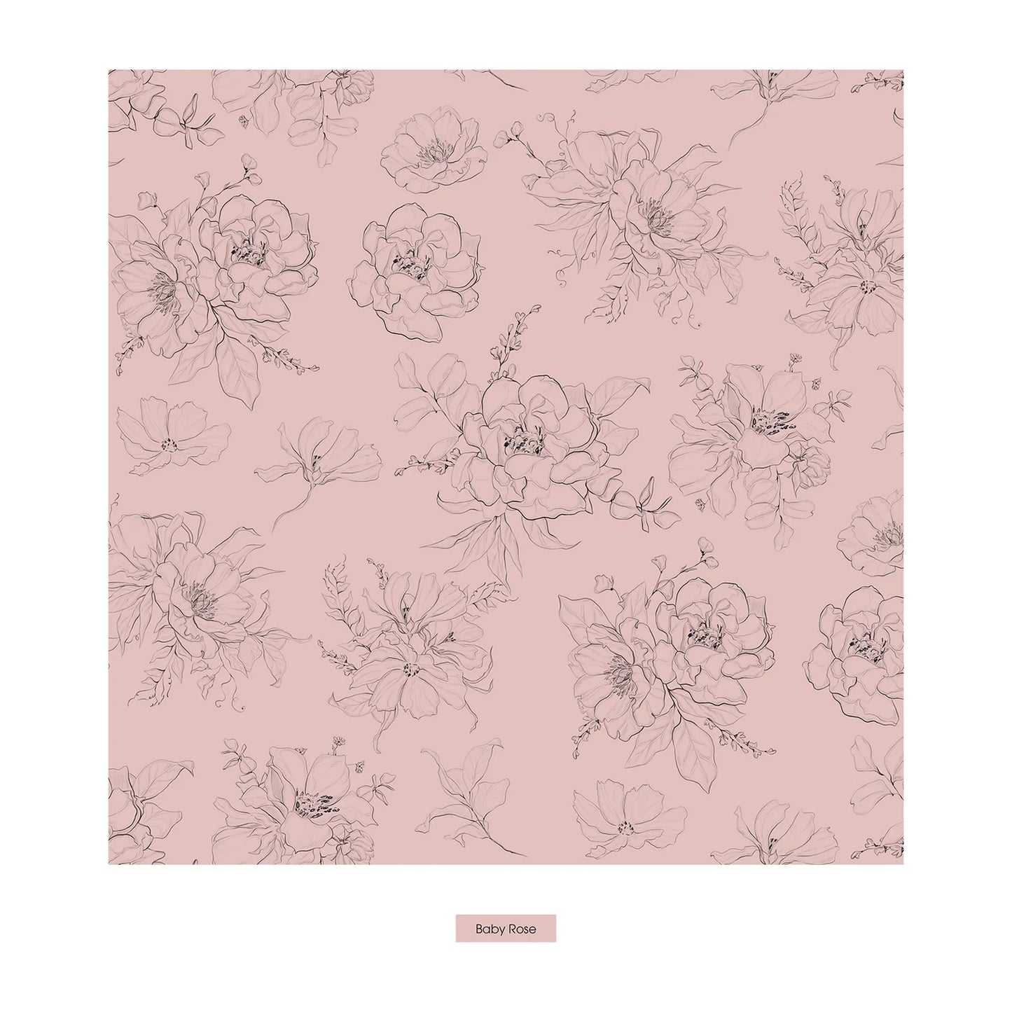 KicKee Baby Rose Pencil Floral | Print Underwear
