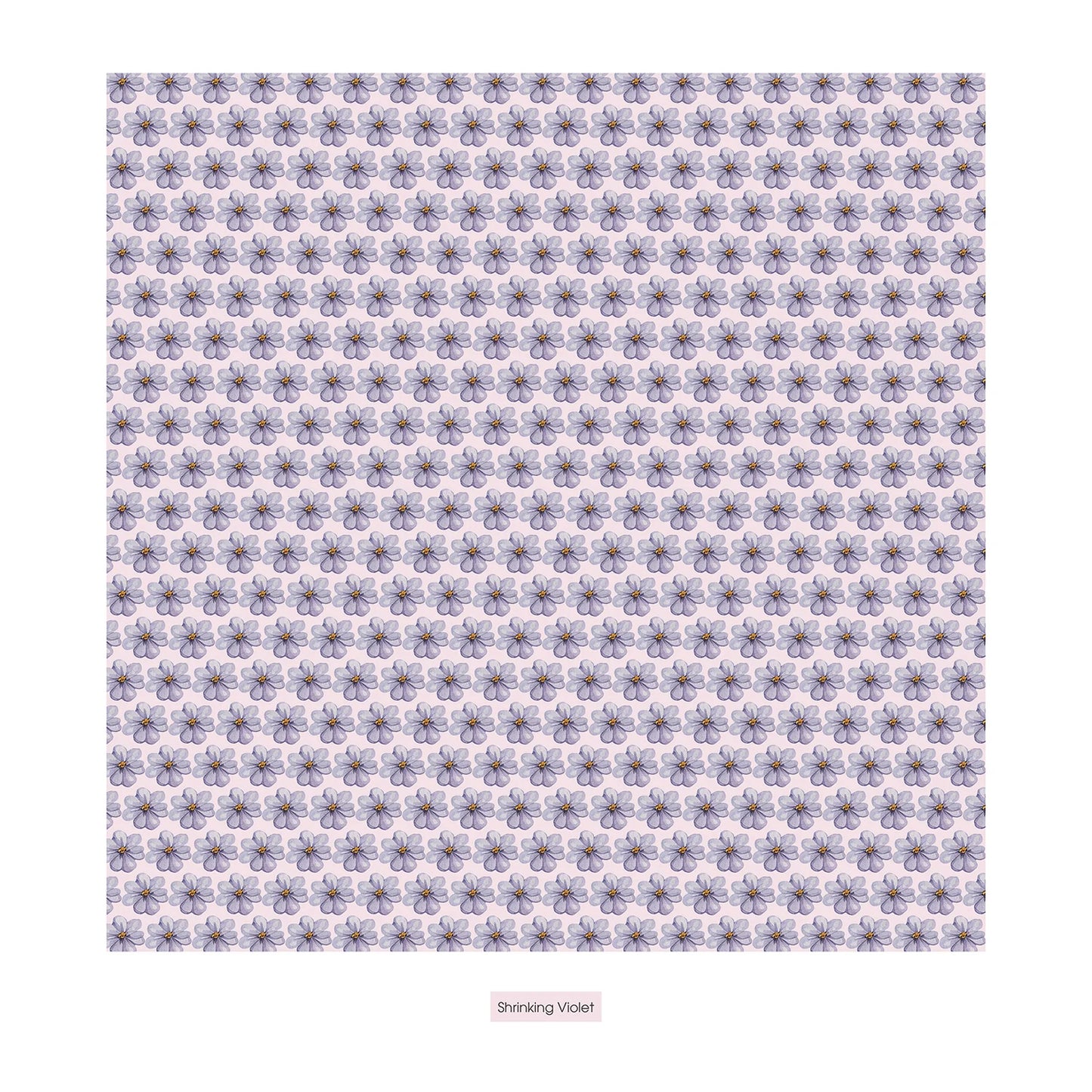 KicKee Shrinking Violet Summer | Print Underwear