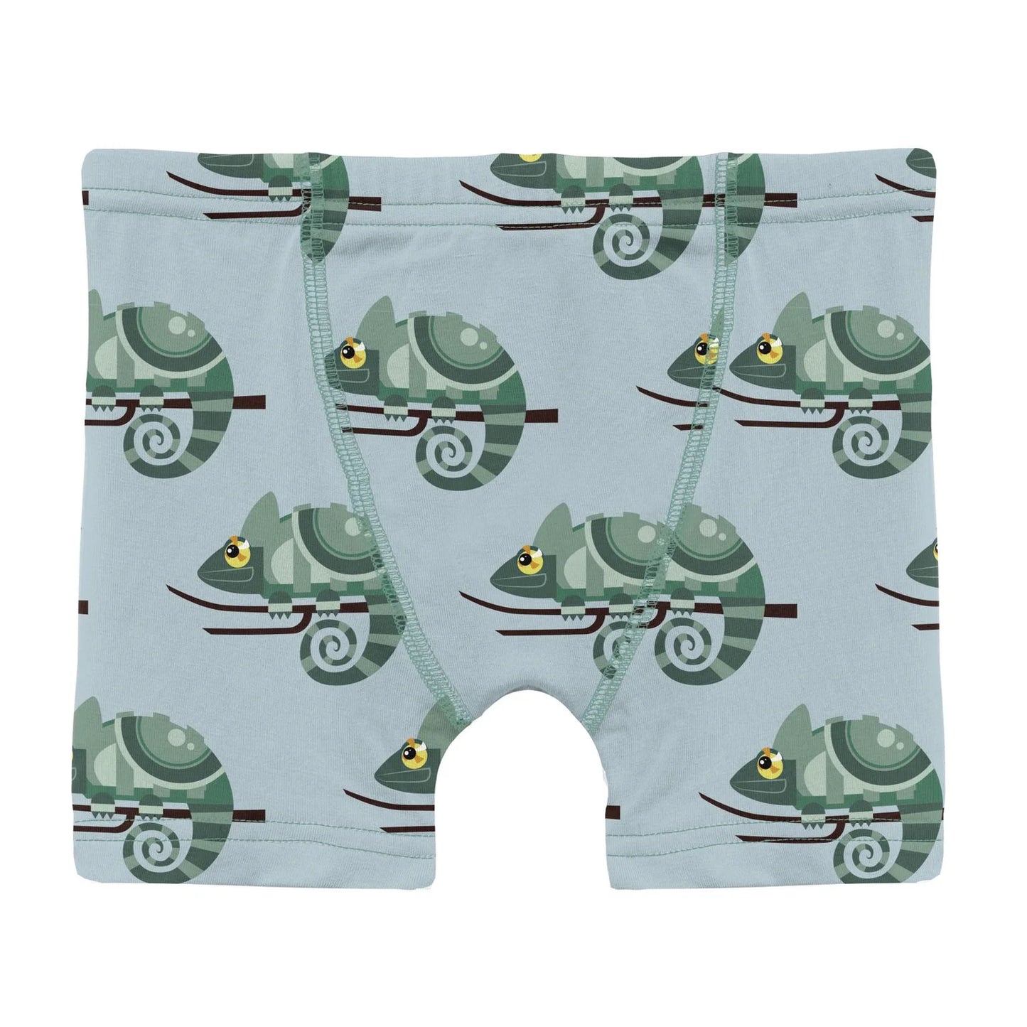 KicKee Spring Sky Chameleon | Print Boxer Brief
