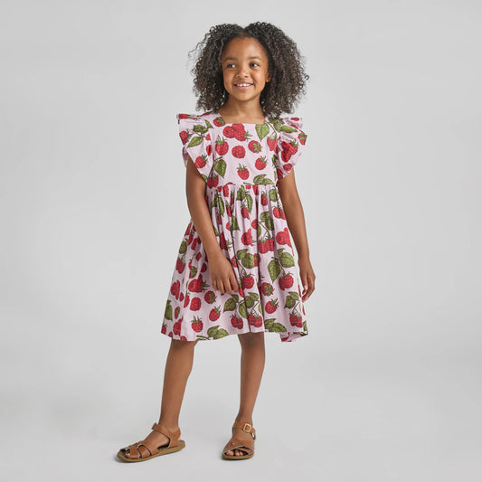 Pink Chicken Lavender Raspberries | Elsie Dress