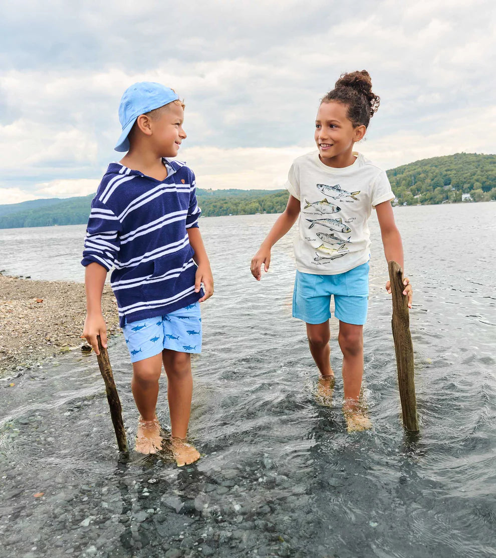 Hatley Fish Types | Graphic Tee