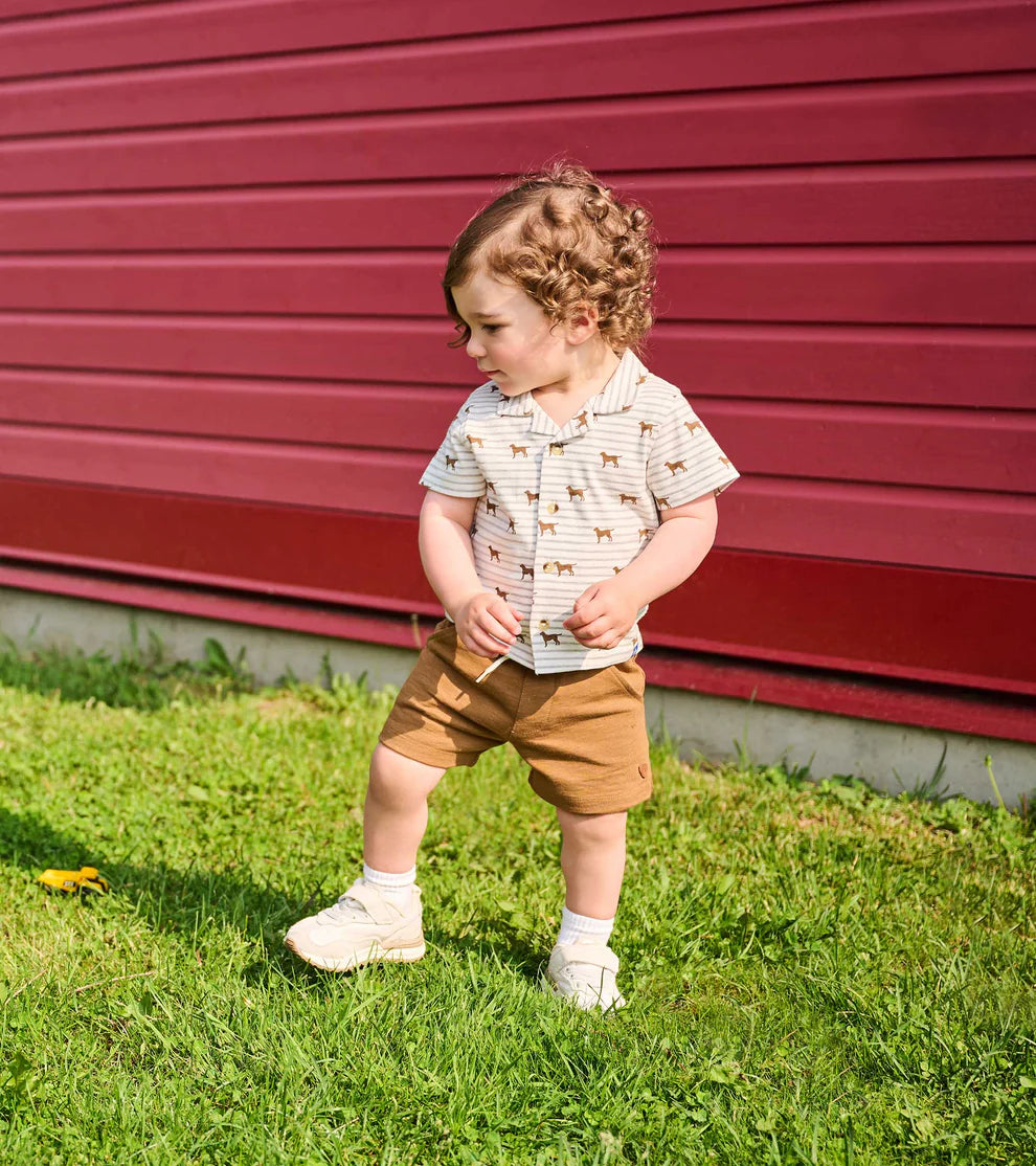 Hatley Toasted Coconut | Pull on Shorts