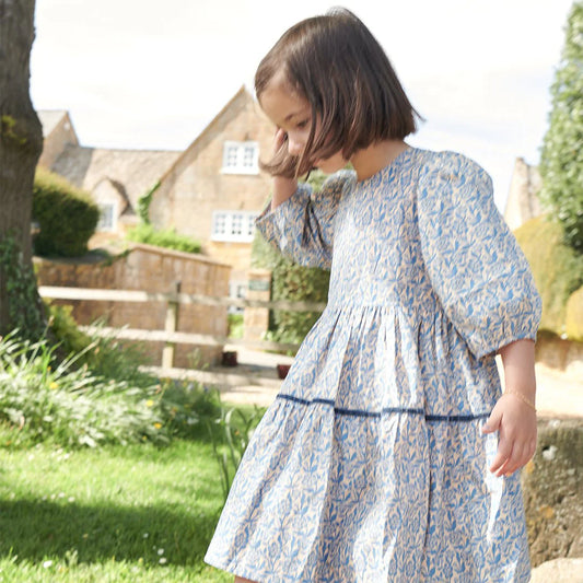 Pink Chicken Blue Climbing Floral | Maribelle Dress