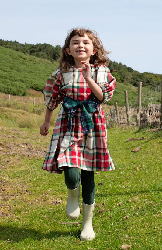 Pink Chicken Holiday Tartan | Ruby Dress