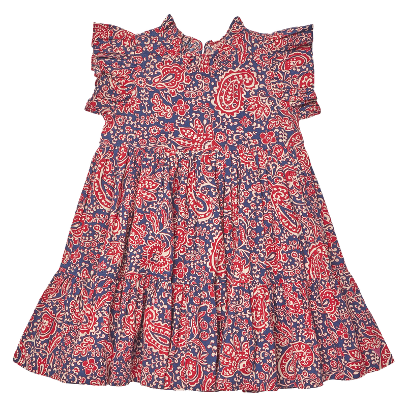 Pink Chicken Paisley Vines | Jennifer Dress