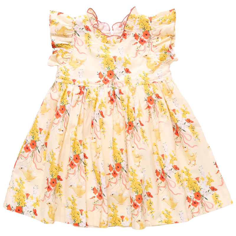 Pink Chicken Yellow Chicks | Jennifer Dress