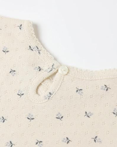 Quincy Mae Natural Blue Ditsy | Pointelle Long Sleeve Tee + Legging Set